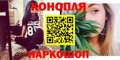 крисы Кунгур