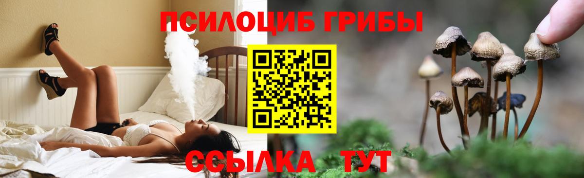 хочу наркоту  Псилоцибиновые грибы Psilocybe  Вход с VPN  Псилоцибиновые грибы мухоморы  Ипатово 